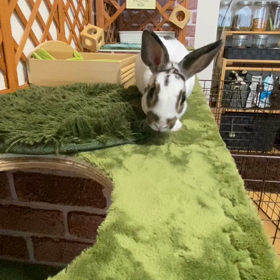 あのーちょっと…の画像