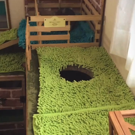 家族が増えました♡の画像