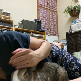 ちゃらびぃここにいますか？の画像