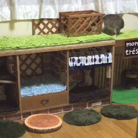 ちゃらびぃランド♡の画像