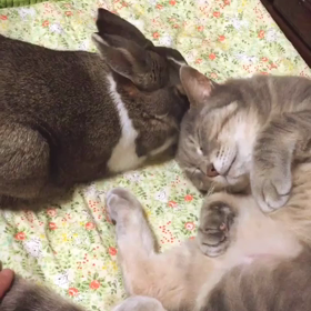 アンヨ…♡の画像