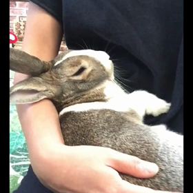 ヨチヨチ♡の画像