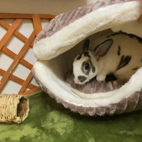 Happy 2nd birthday♡の画像