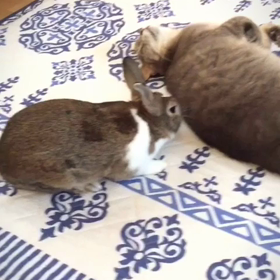 やんちゃ坊主♡の画像