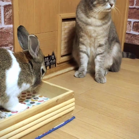 待っとるんかいっっっ♡の画像