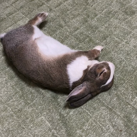 こどもの日♡ちゃらびぃ7歳なったday♡の画像