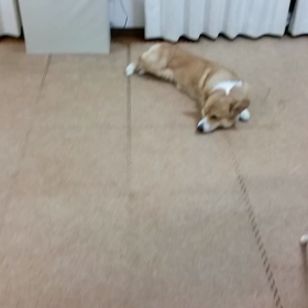うねうね封印。の画像