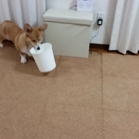 運び屋。の画像