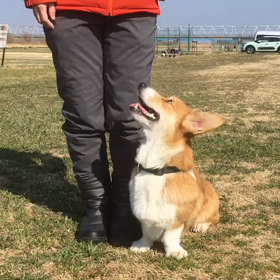今朝のまめ太は、いつもより？？の画像