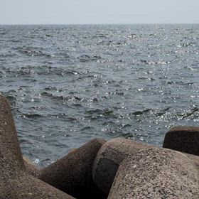 釣りの画像