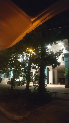淀川花火大会の日の記事動画