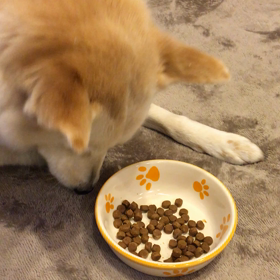 うめるの画像