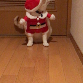 動かないサンタさんの画像