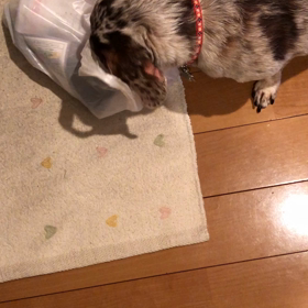 お空に住所変更届けの画像