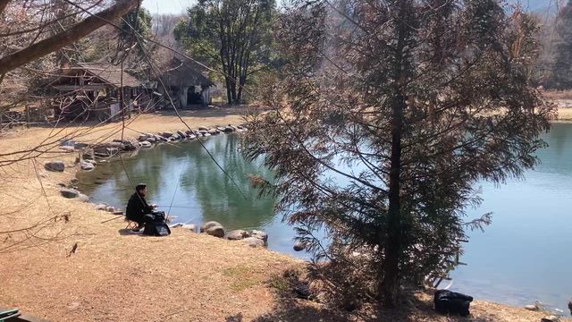 レイクウッドリゾートの記事動画
