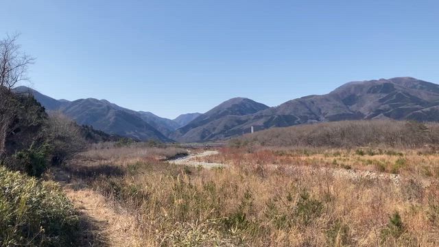 ㊗️解禁❗️の記事動画