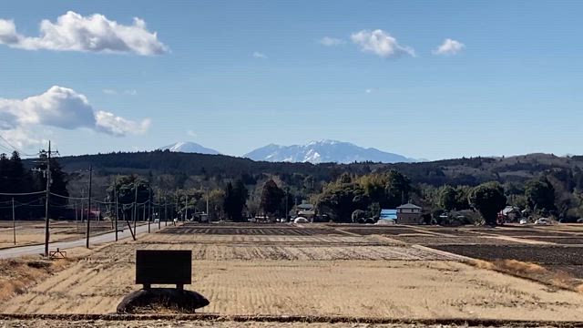 今年も始まりましたの記事動画