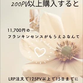 2024/12/02の画像