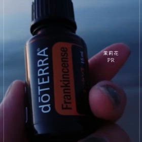 WEB集客doTERRAの画像