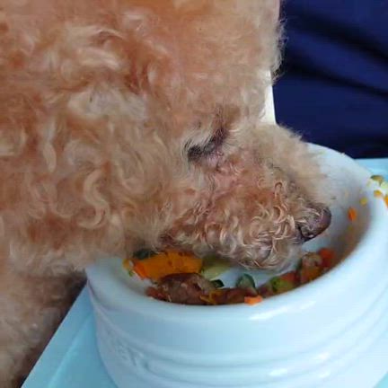 ３週連続の那須へ(≧▽≦)の記事動画