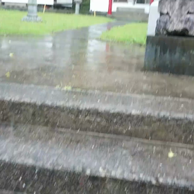 雨の画像