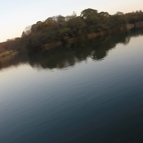 動画の画像