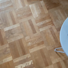 夏は面白いニャ〜！の画像