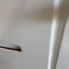 お出迎え❗️の画像