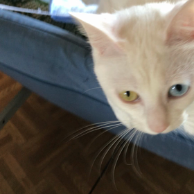 2022 ❗️の画像