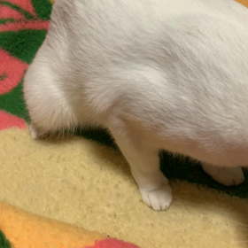 お気に入り❗️の画像