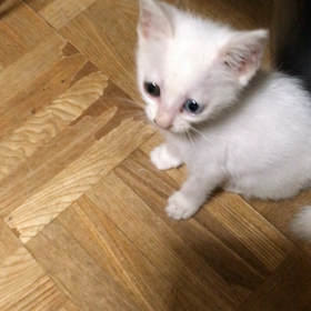 お誕生日おめでとう⁉︎の画像