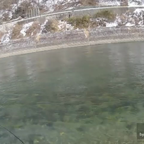 上原君の本流釣行記2/21　犀川エリアの画像