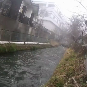上原君の釣行記2019/4/09の画像