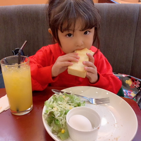 今日もハードの画像
