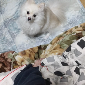 ココでちゅの画像