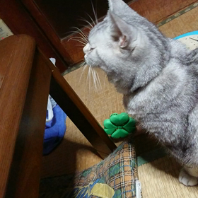 最近のお気に入り？(^^;の画像