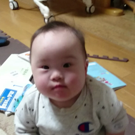 ハイ たっちの画像