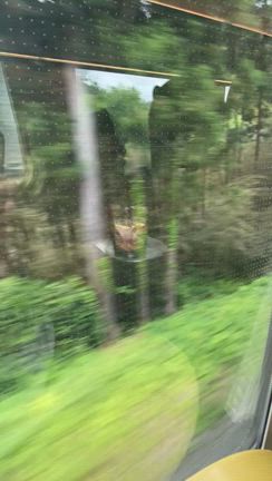 初⭐️秩父旅の記事動画