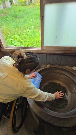 推しとお茶摘みの記事動画