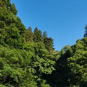 ため池の画像