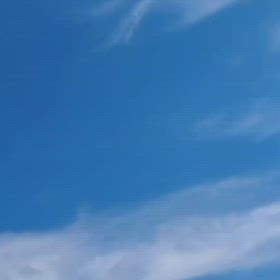 赤いロケット&啼き聲の画像