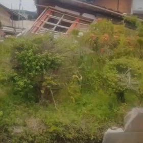 珠洲Nowの画像