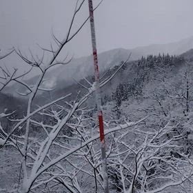 冬に逆戻りの画像