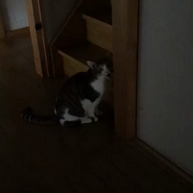 淋しいなあの画像