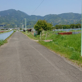 静かな散歩☆の画像