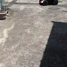 ・・・の画像