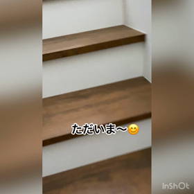いつものココちゃんの画像