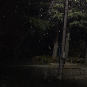 すのうの画像