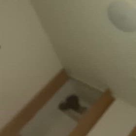 動画の画像