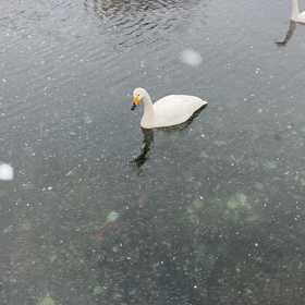 風景の画像